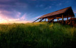 shelter